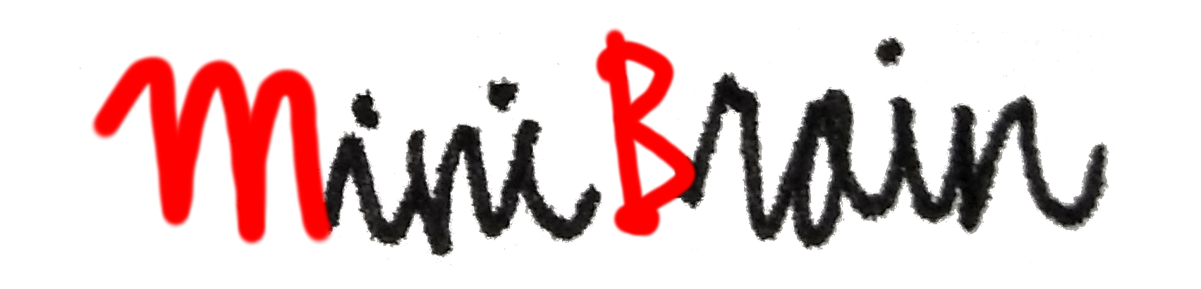 Logo MiniBrain